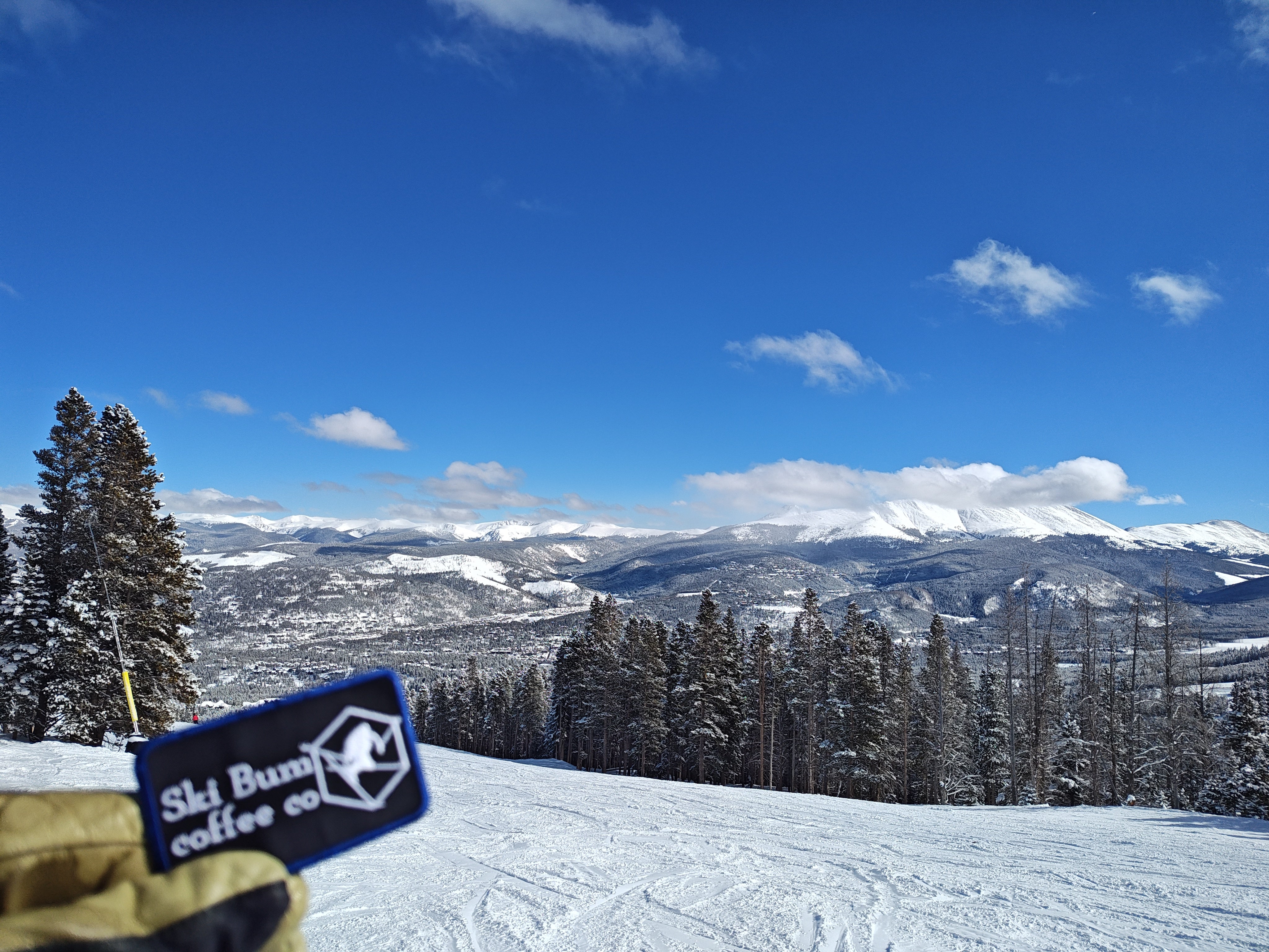 Ski resort with snow-covered mountains and trees under a clear blue sky.
