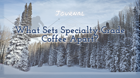 What Sets Specialty-Grade Coffee Apart?