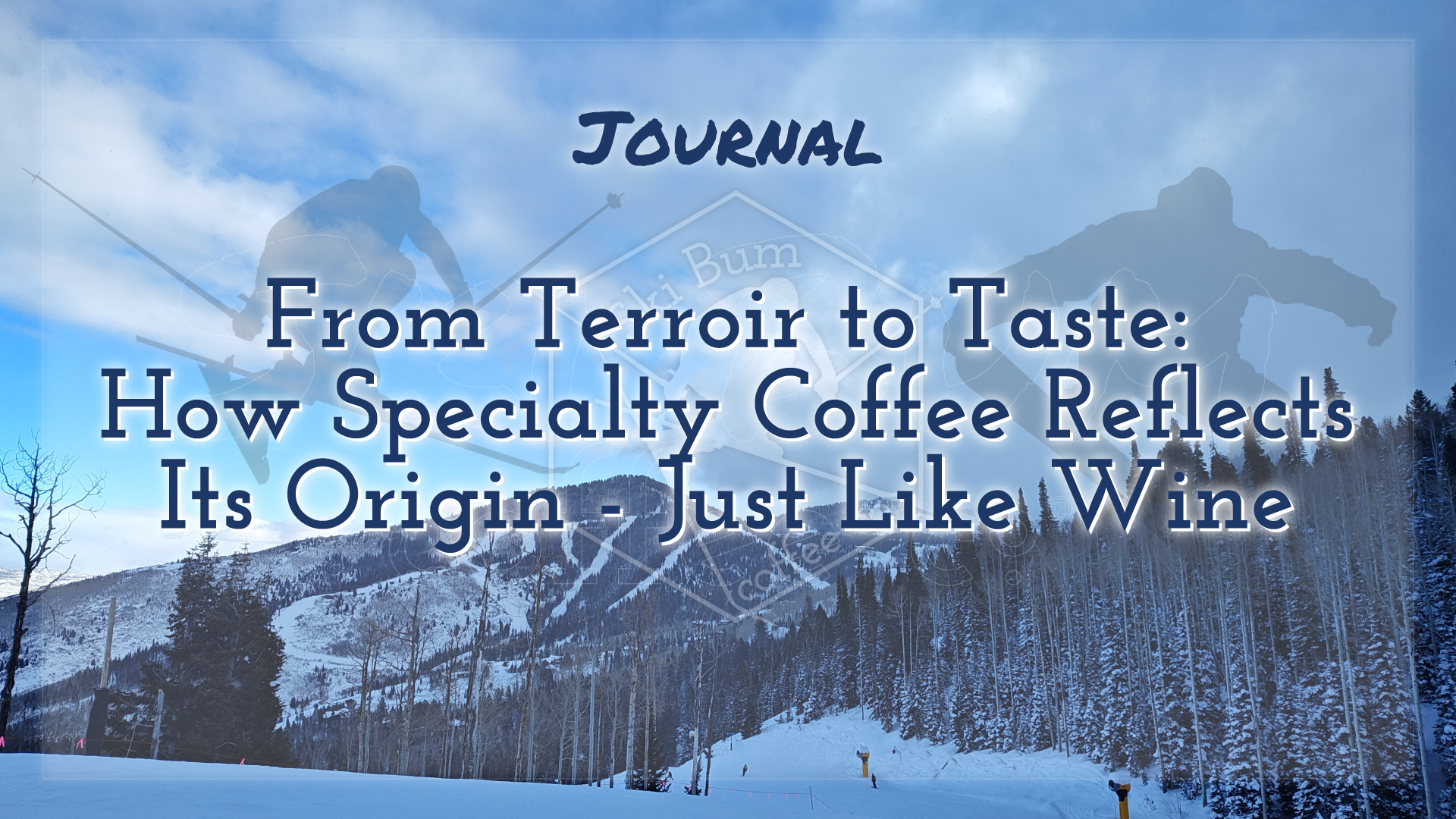 From Terroir to Taste: How Specialty Coffee Reflects Its Origin - Just Like Wine
