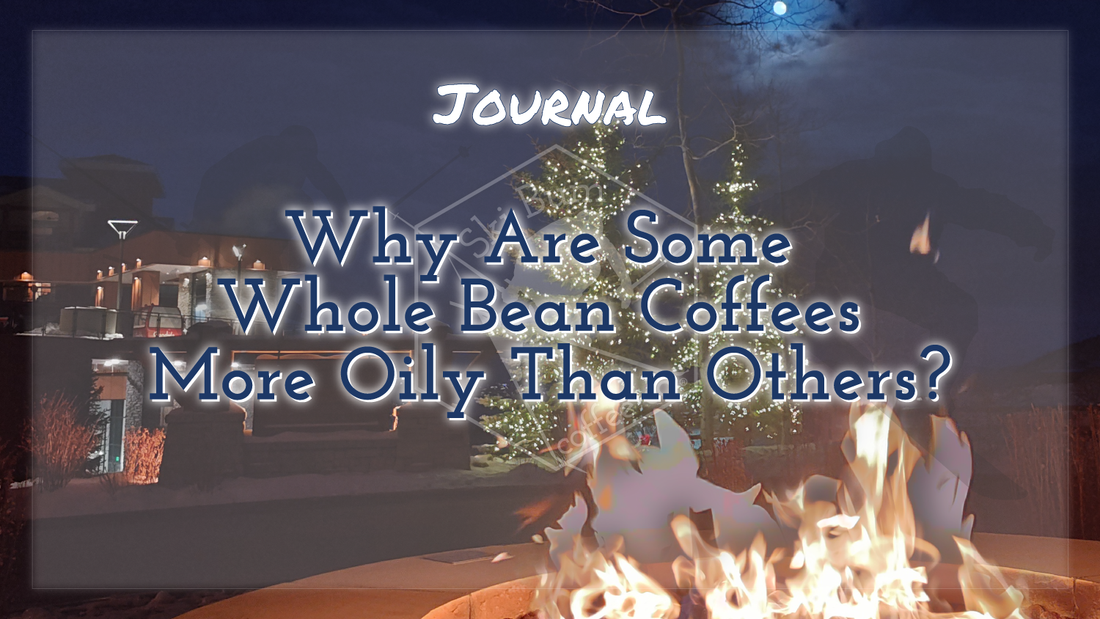 Why Are Some Whole Bean Coffees More Oily Than Others?