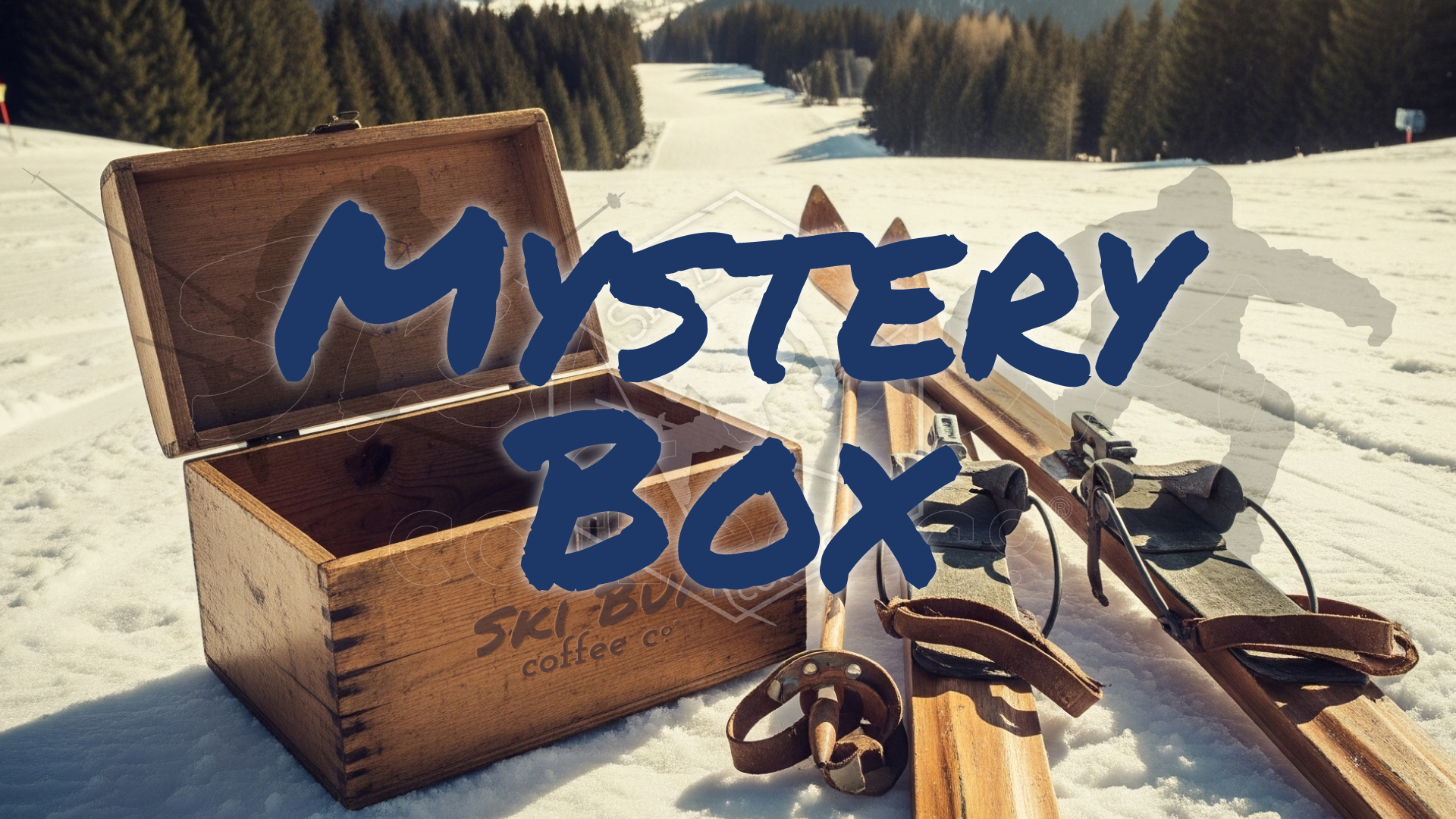 Mystery Box - Coffee of the Month