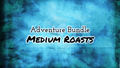 Adventure Bundle: Medium Roasts